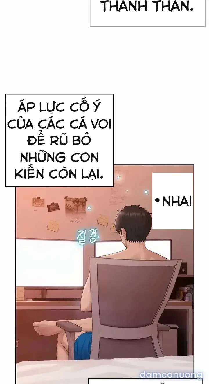 Harem tư bản 