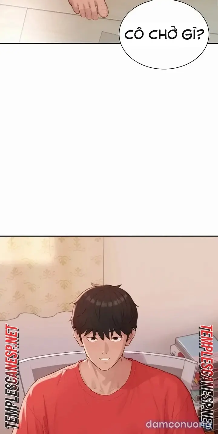 Harem tư bản 