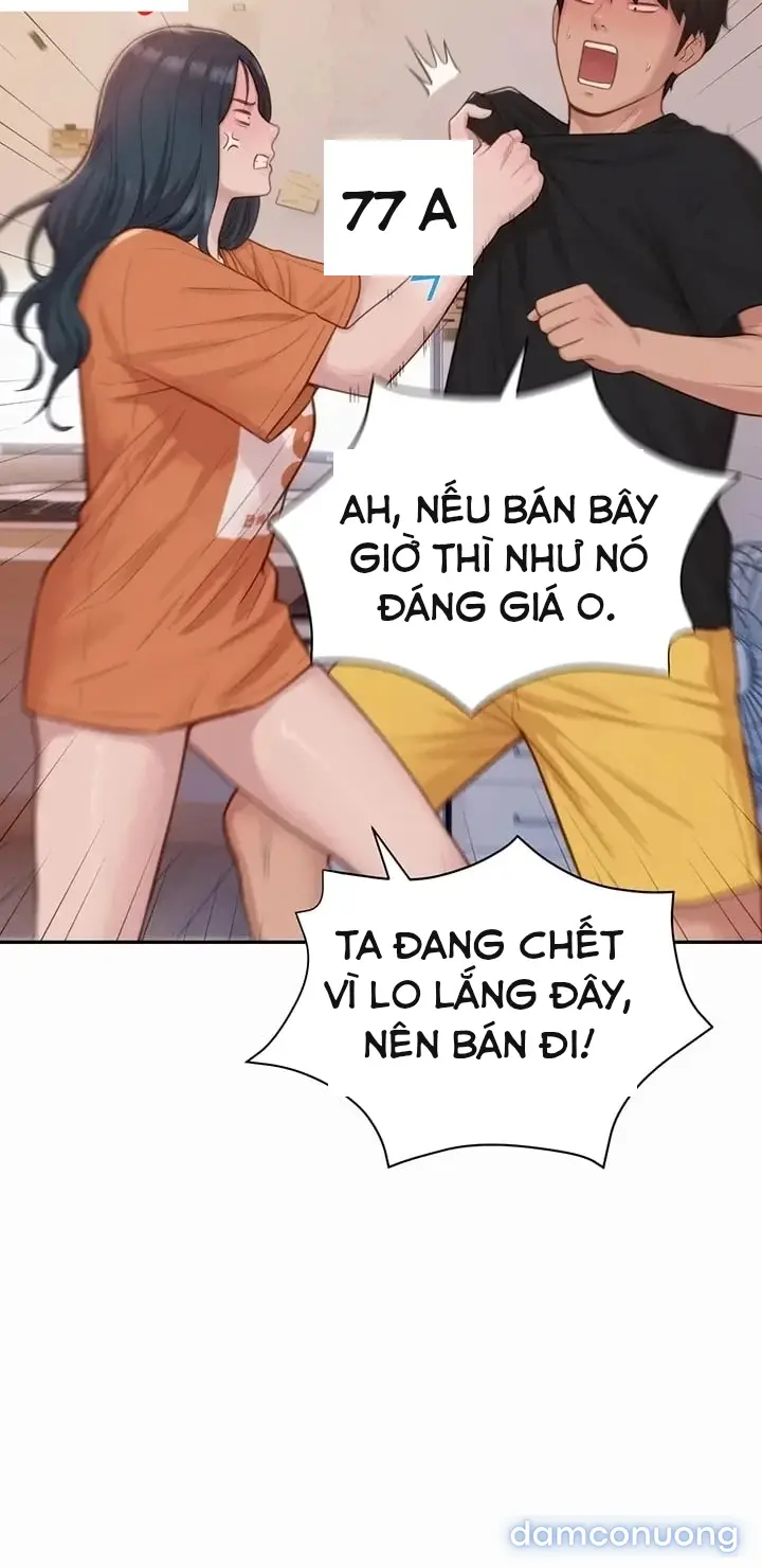 Harem tư bản 