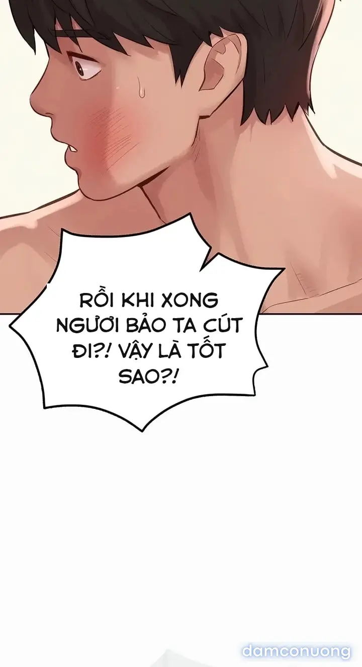 Harem tư bản 
