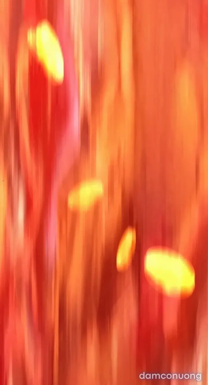 Harem tư bản 
