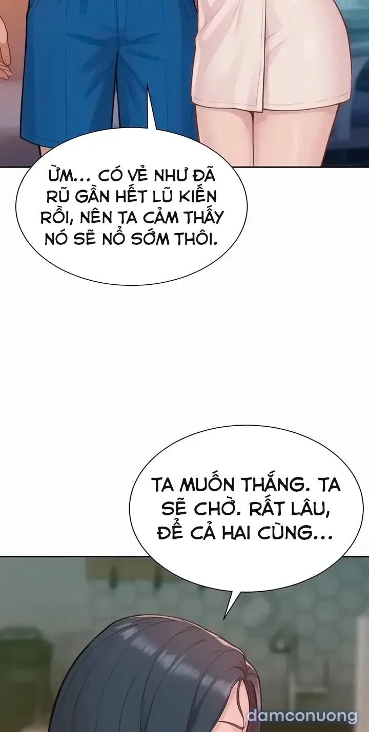 Harem tư bản 