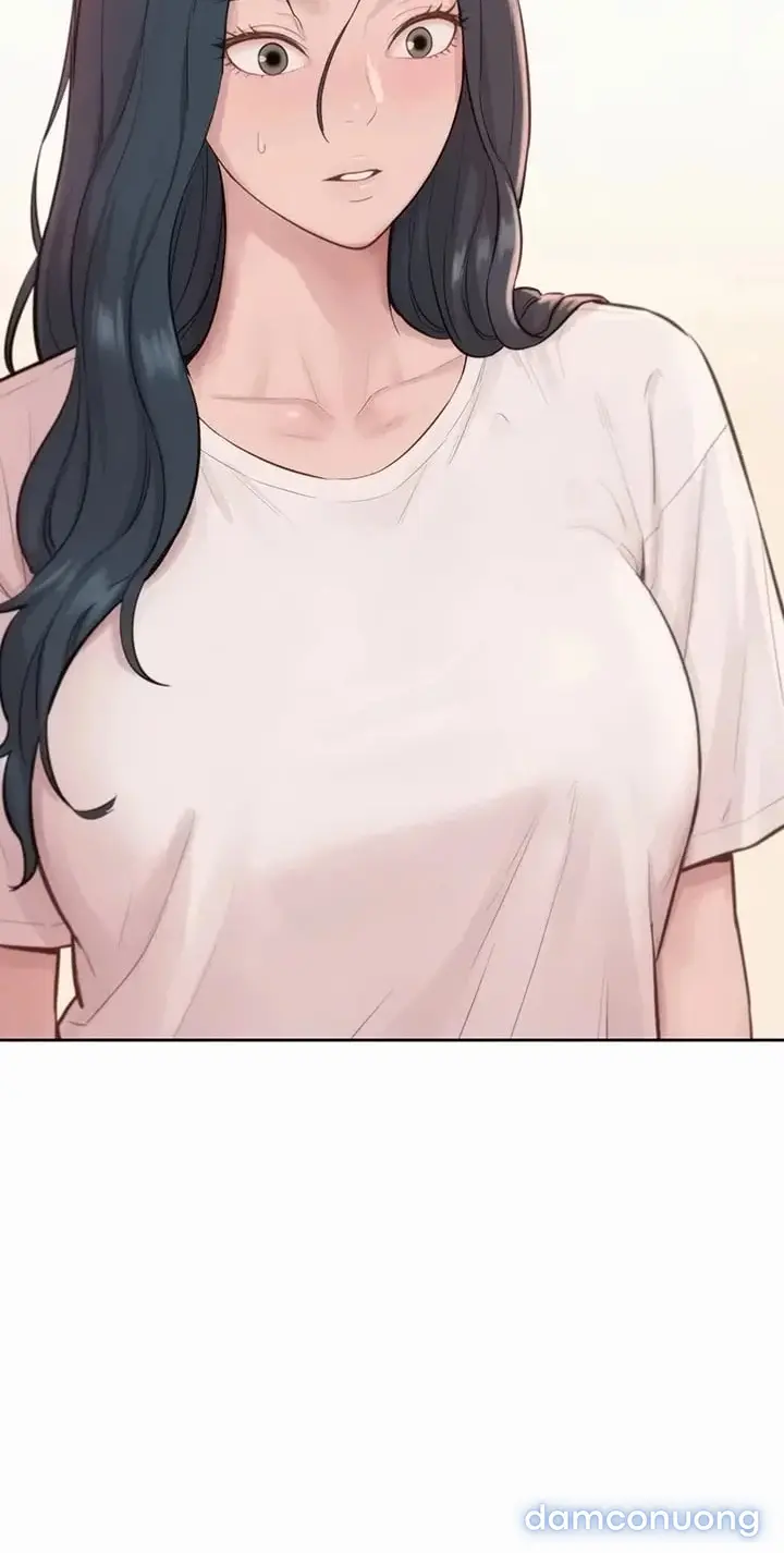 Harem tư bản 