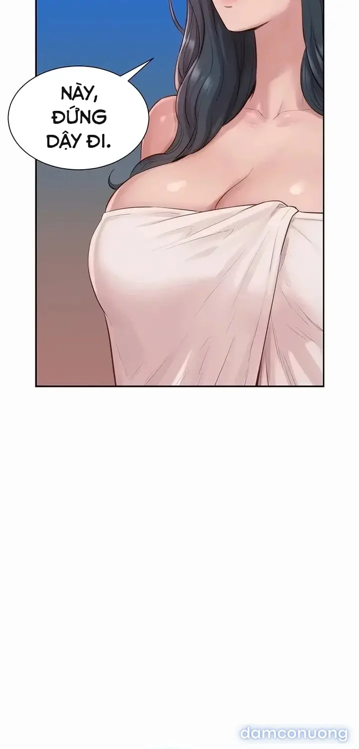Harem tư bản 