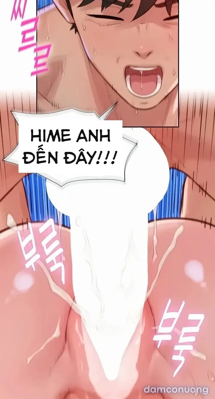 Harem tư bản 