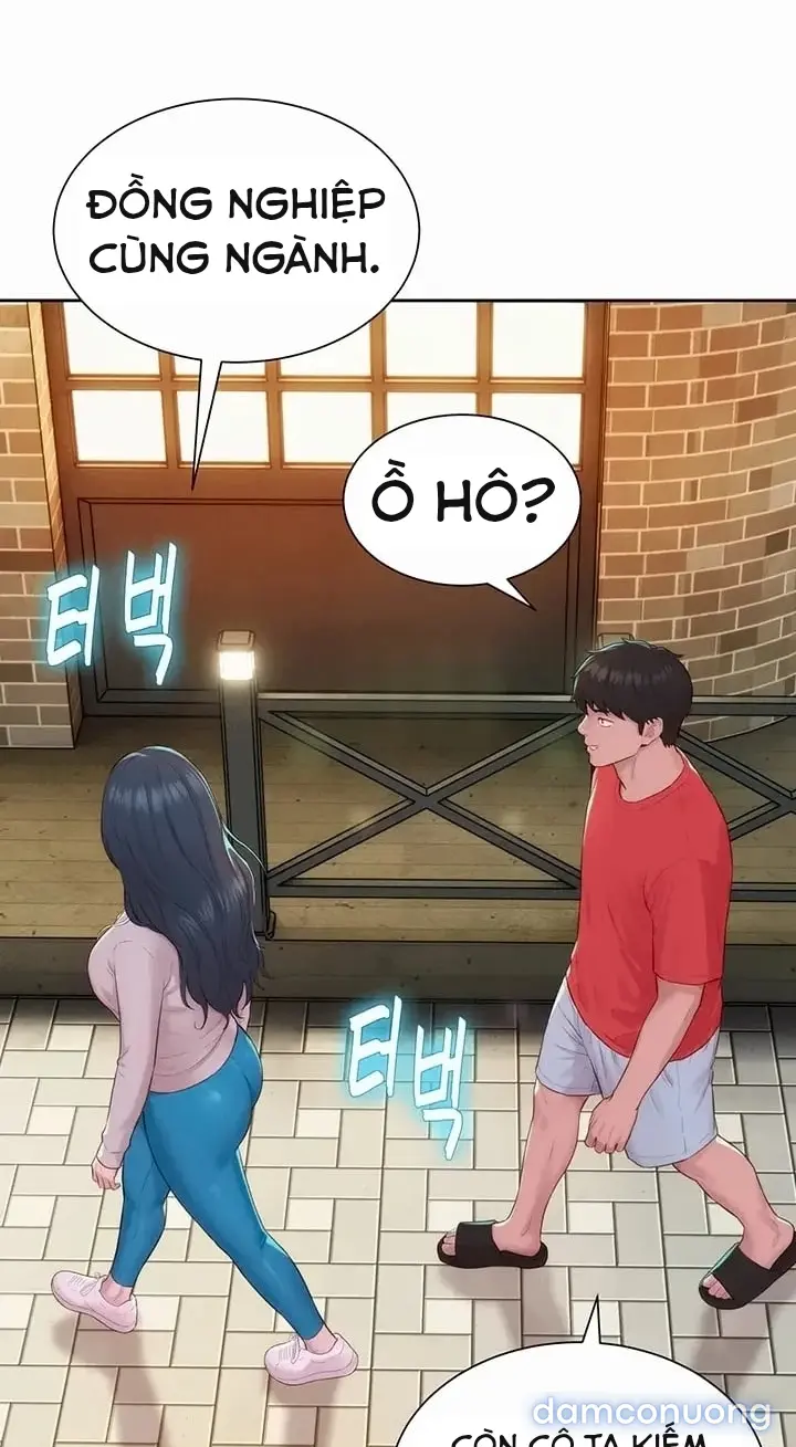 Harem tư bản 