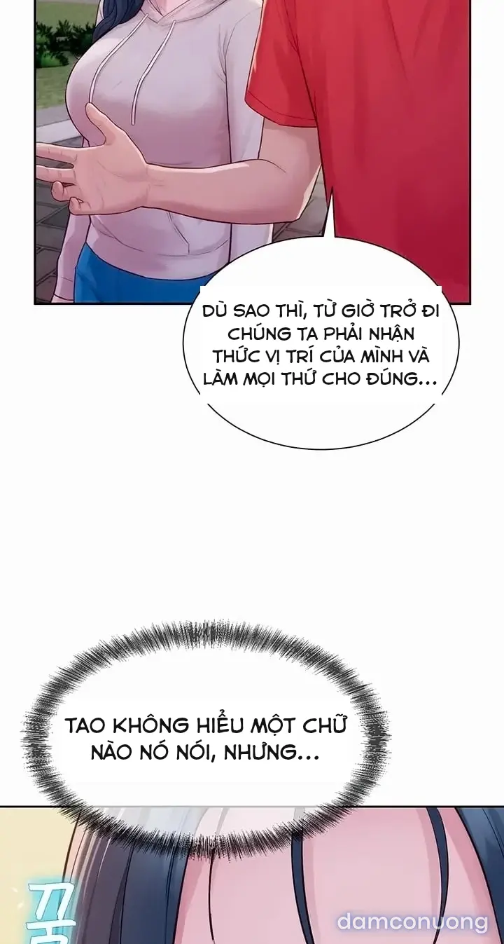 Harem tư bản 