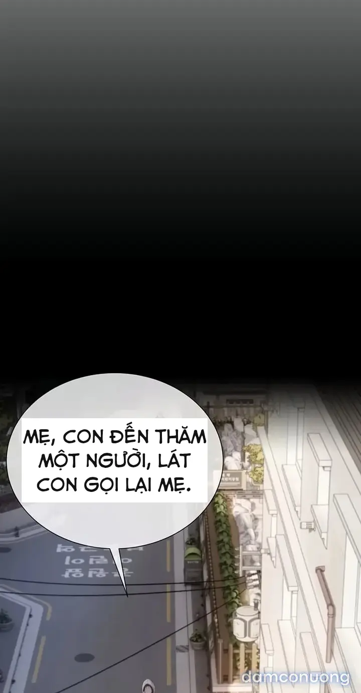 Harem tư bản 