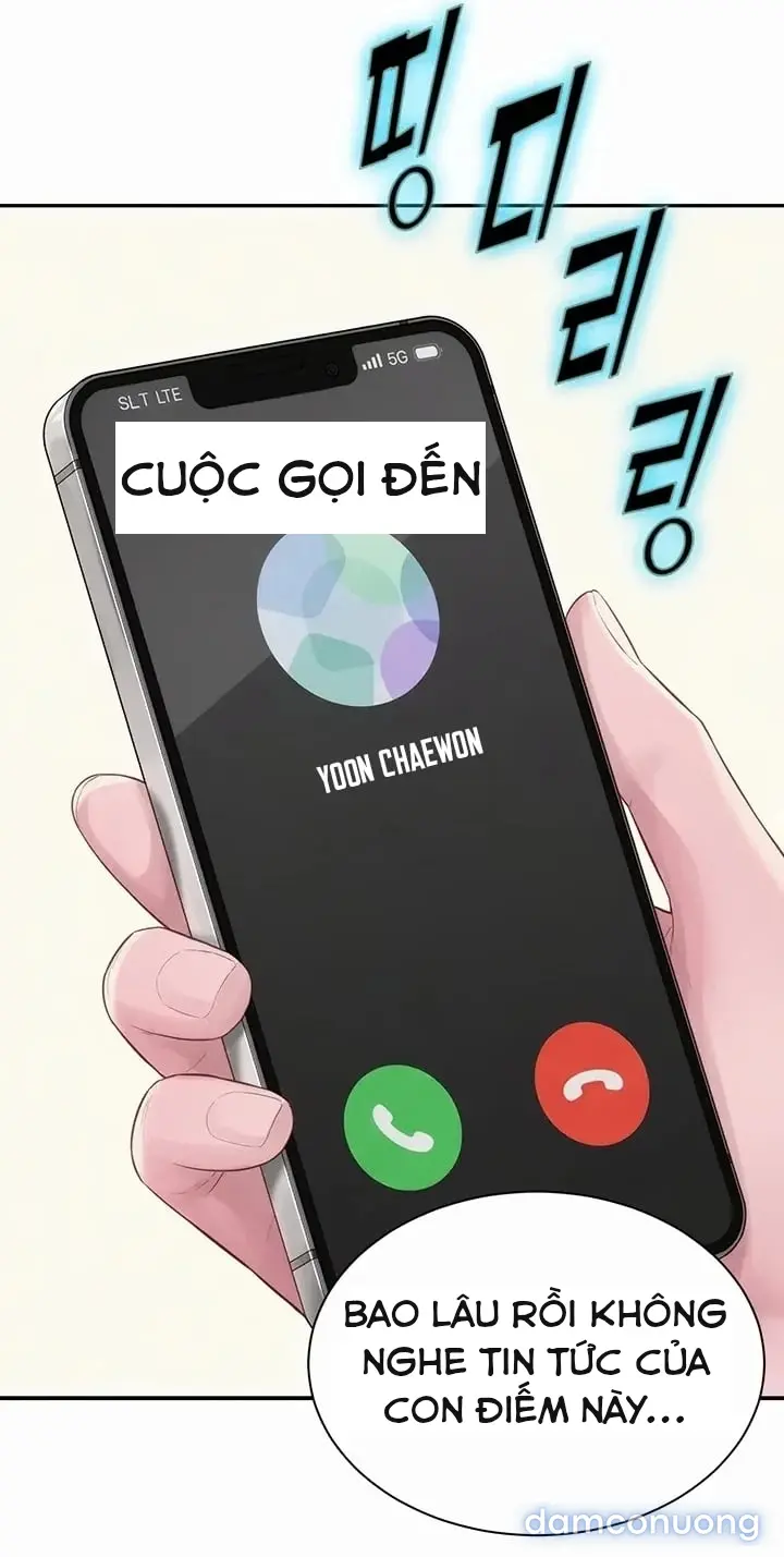 Harem tư bản 