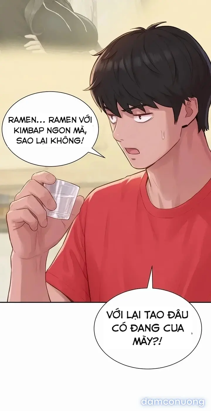 Harem tư bản 