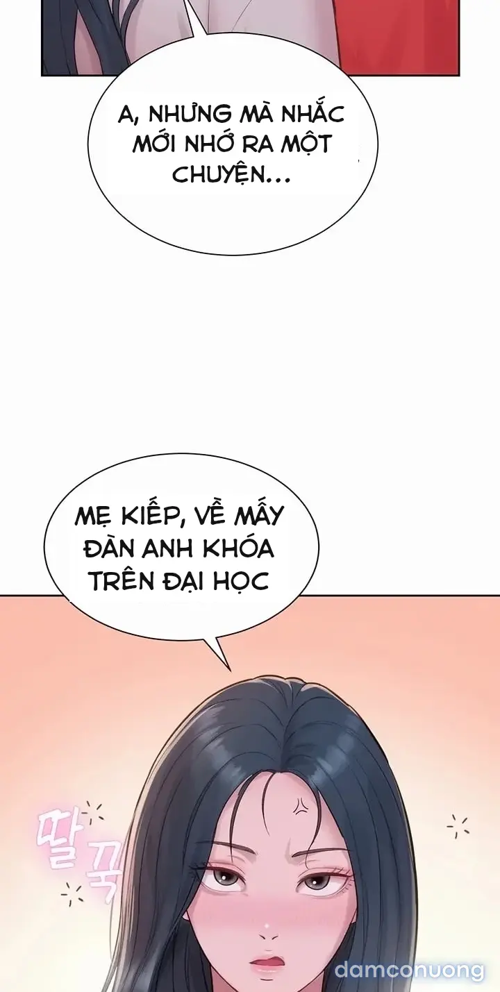 Harem tư bản 