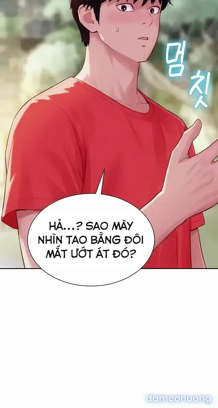 Harem tư bản 