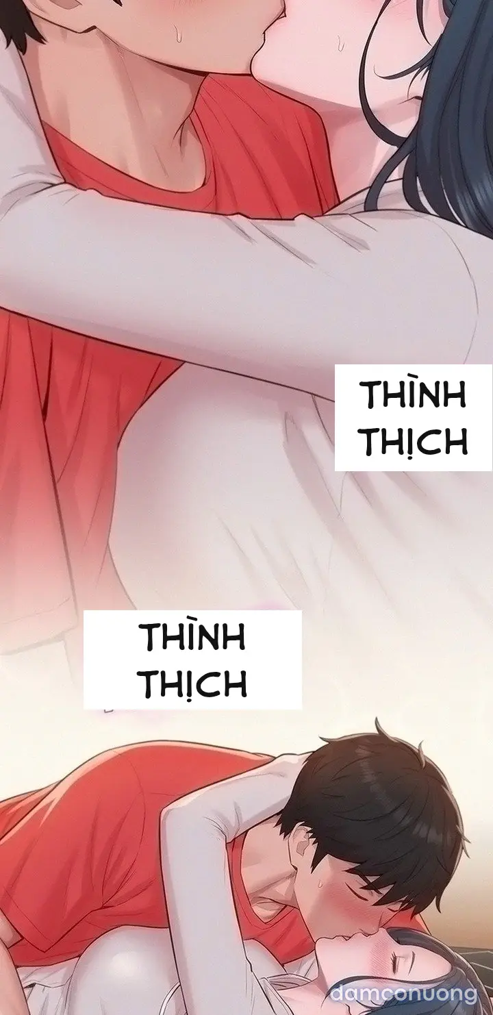 Harem tư bản 