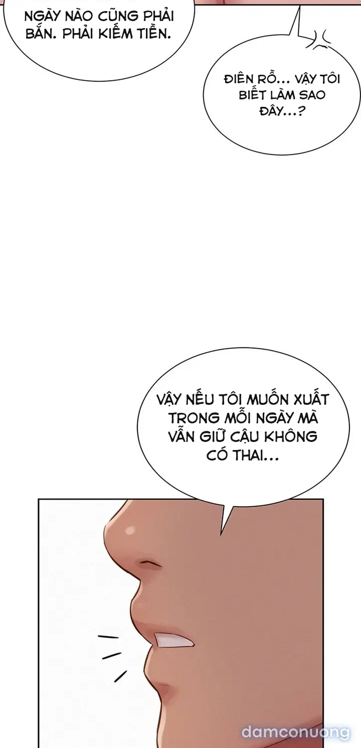 Harem tư bản 