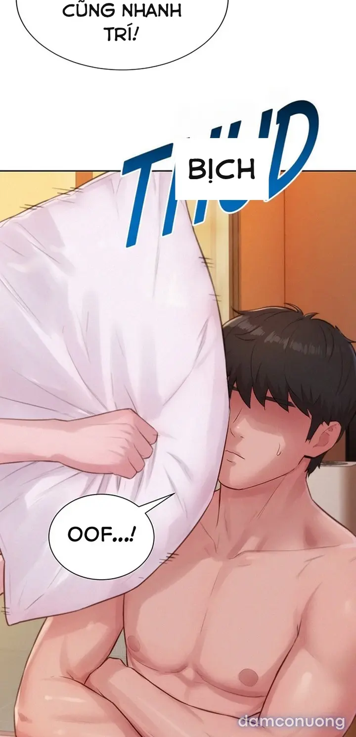 Harem tư bản 