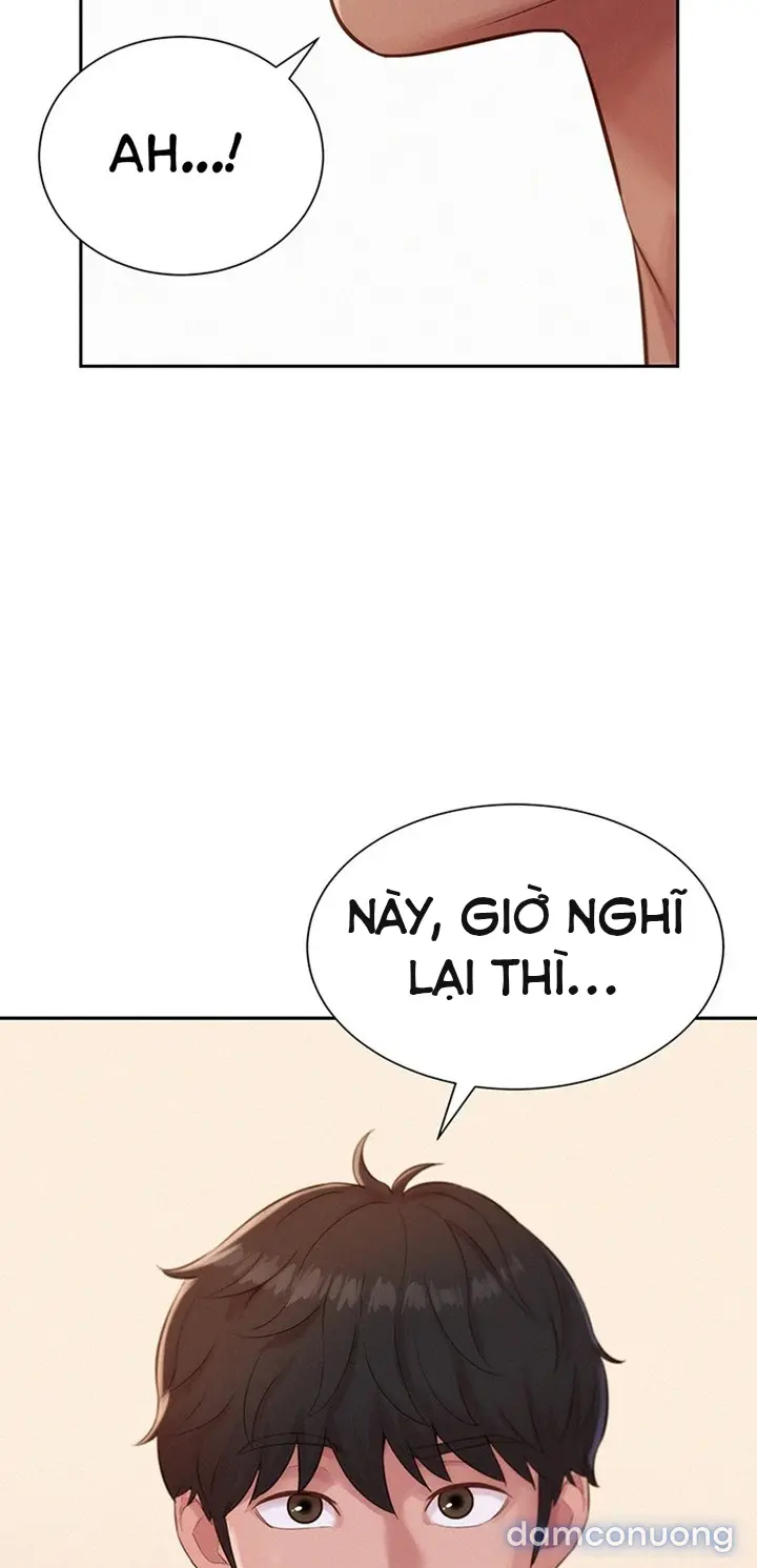 Harem tư bản 