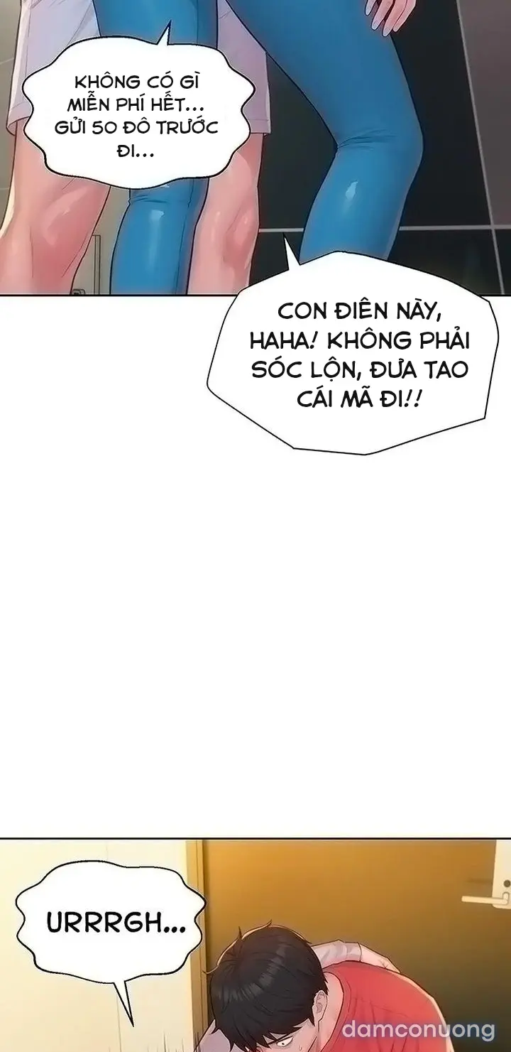Harem tư bản 