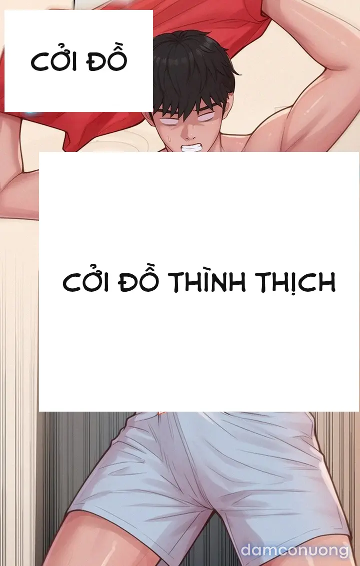 Harem tư bản 