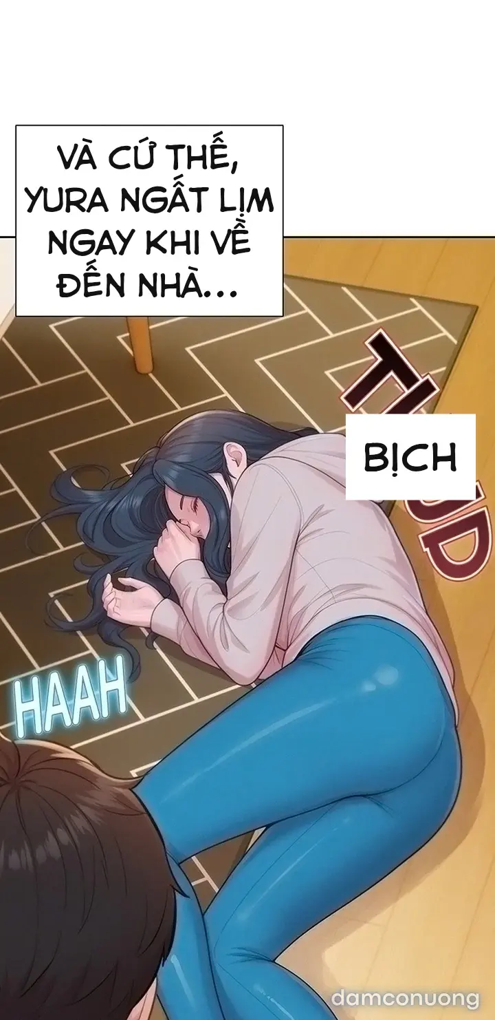 Harem tư bản 