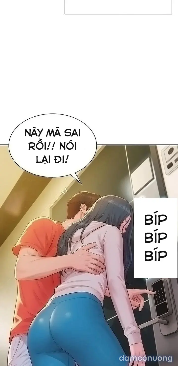 Harem tư bản 