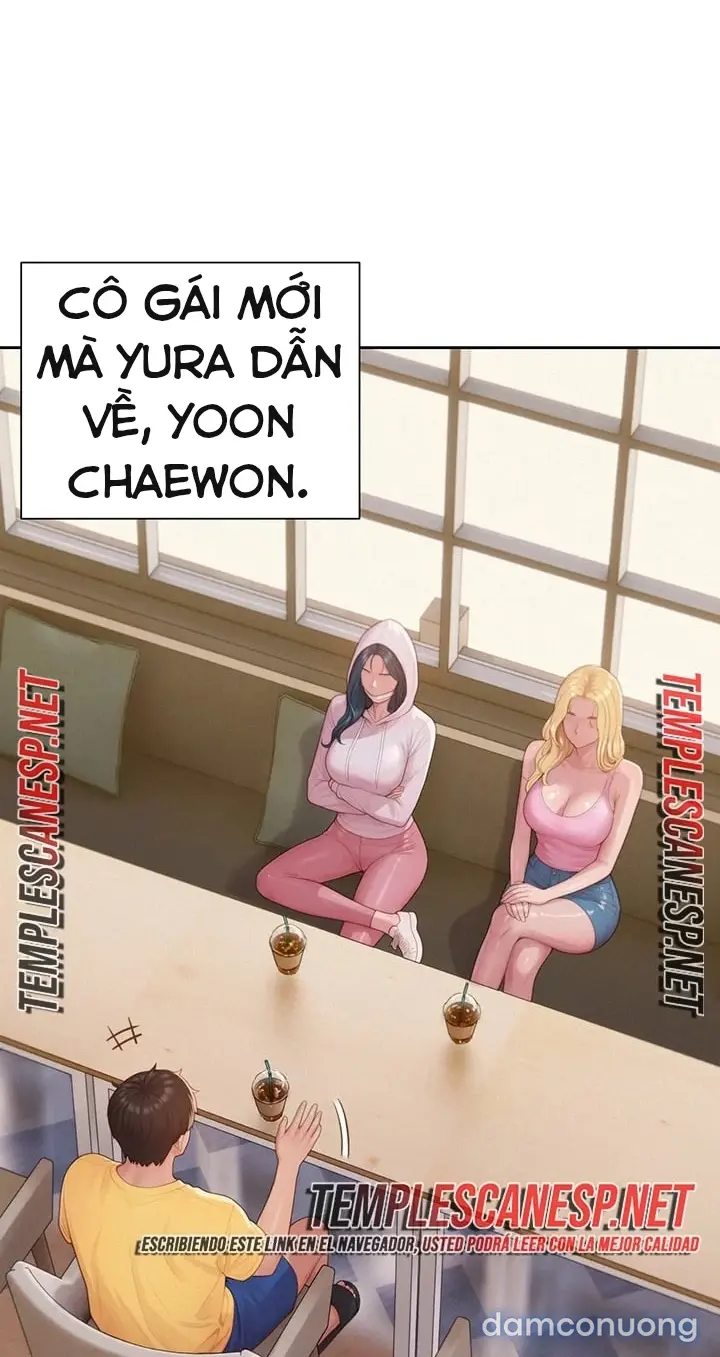 Harem tư bản 