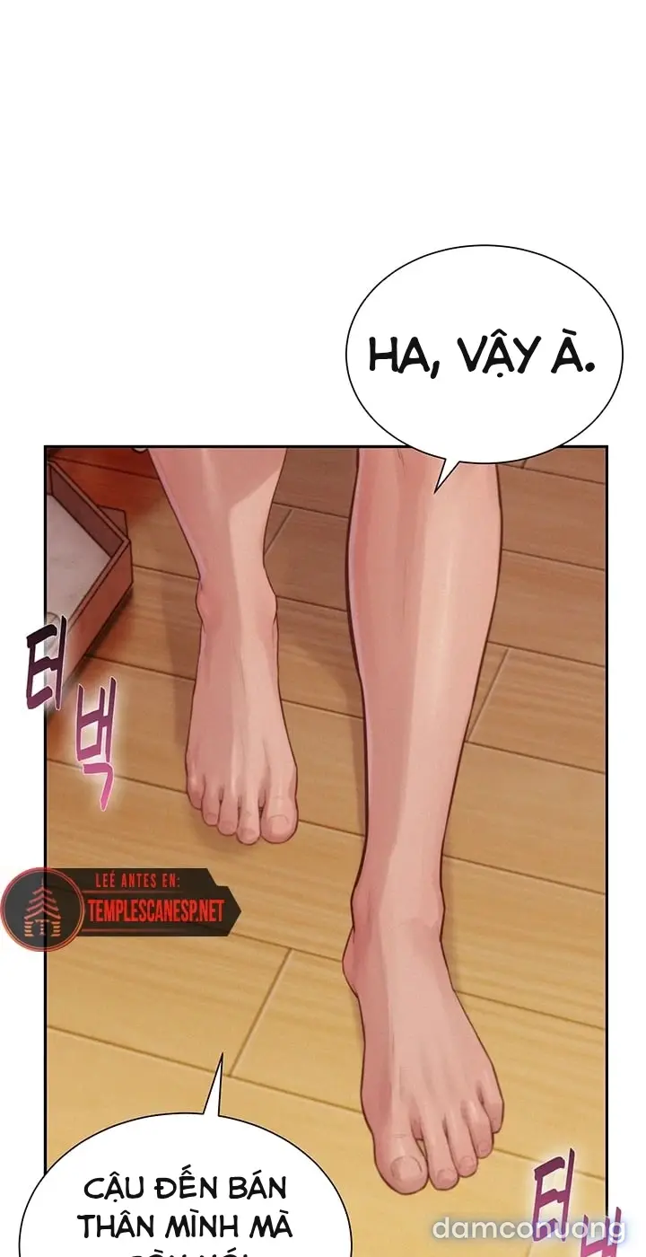 Harem tư bản 