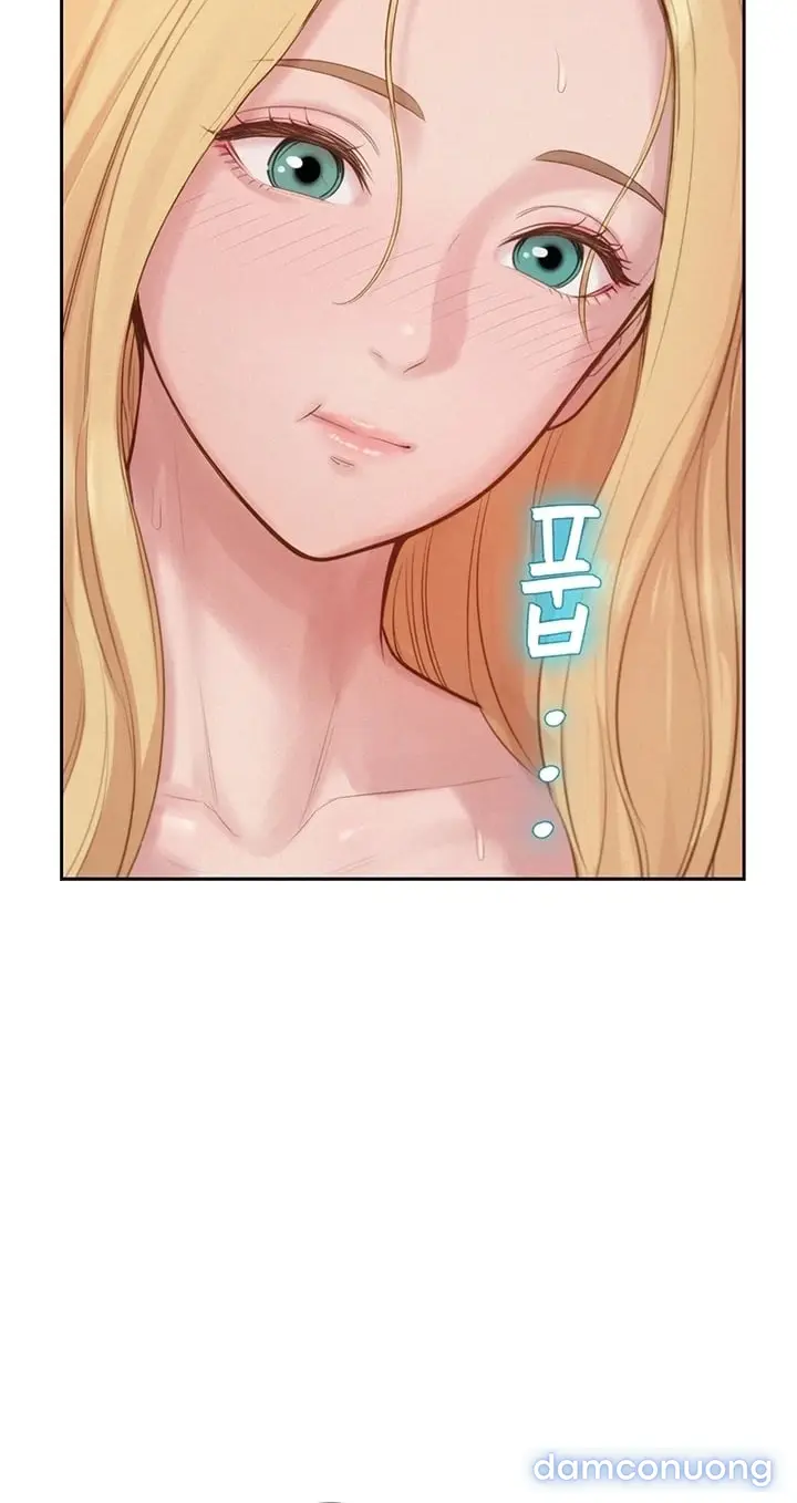Harem tư bản 
