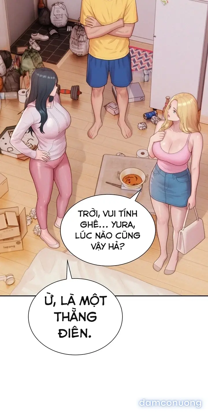 Harem tư bản 