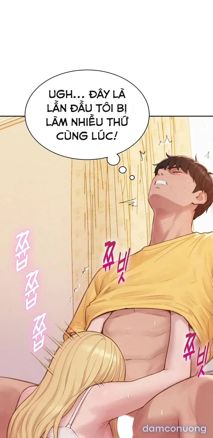 Harem tư bản 