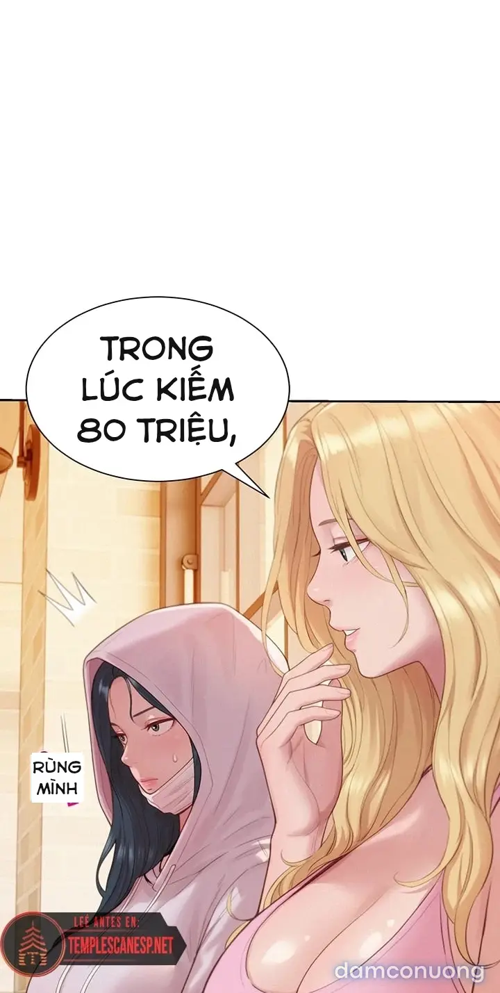 Harem tư bản 
