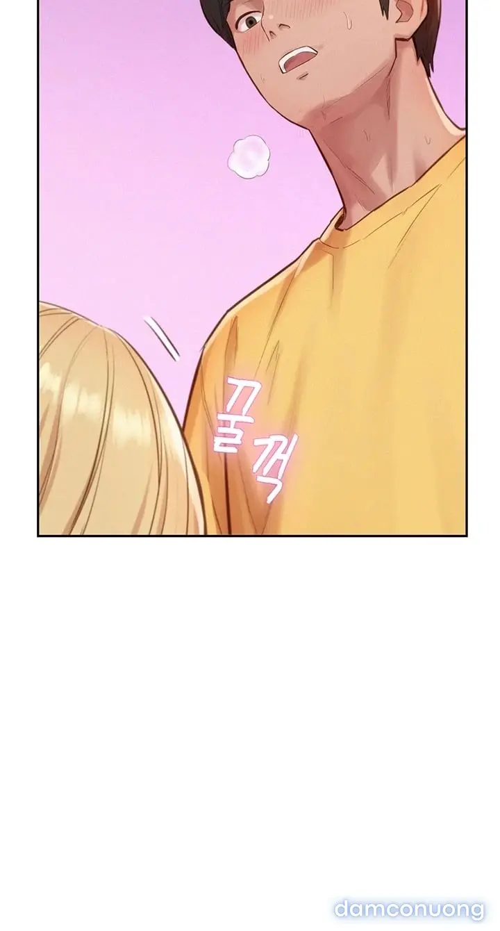 Harem tư bản 