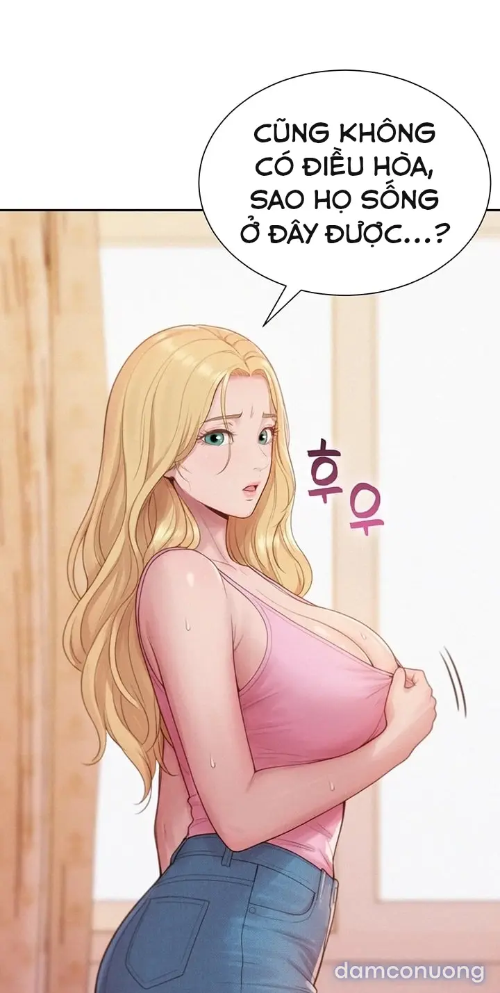 Harem tư bản 