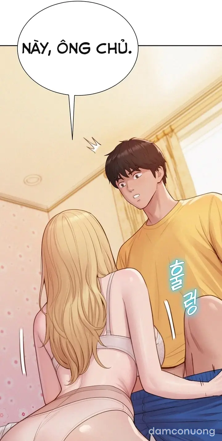 Harem tư bản 