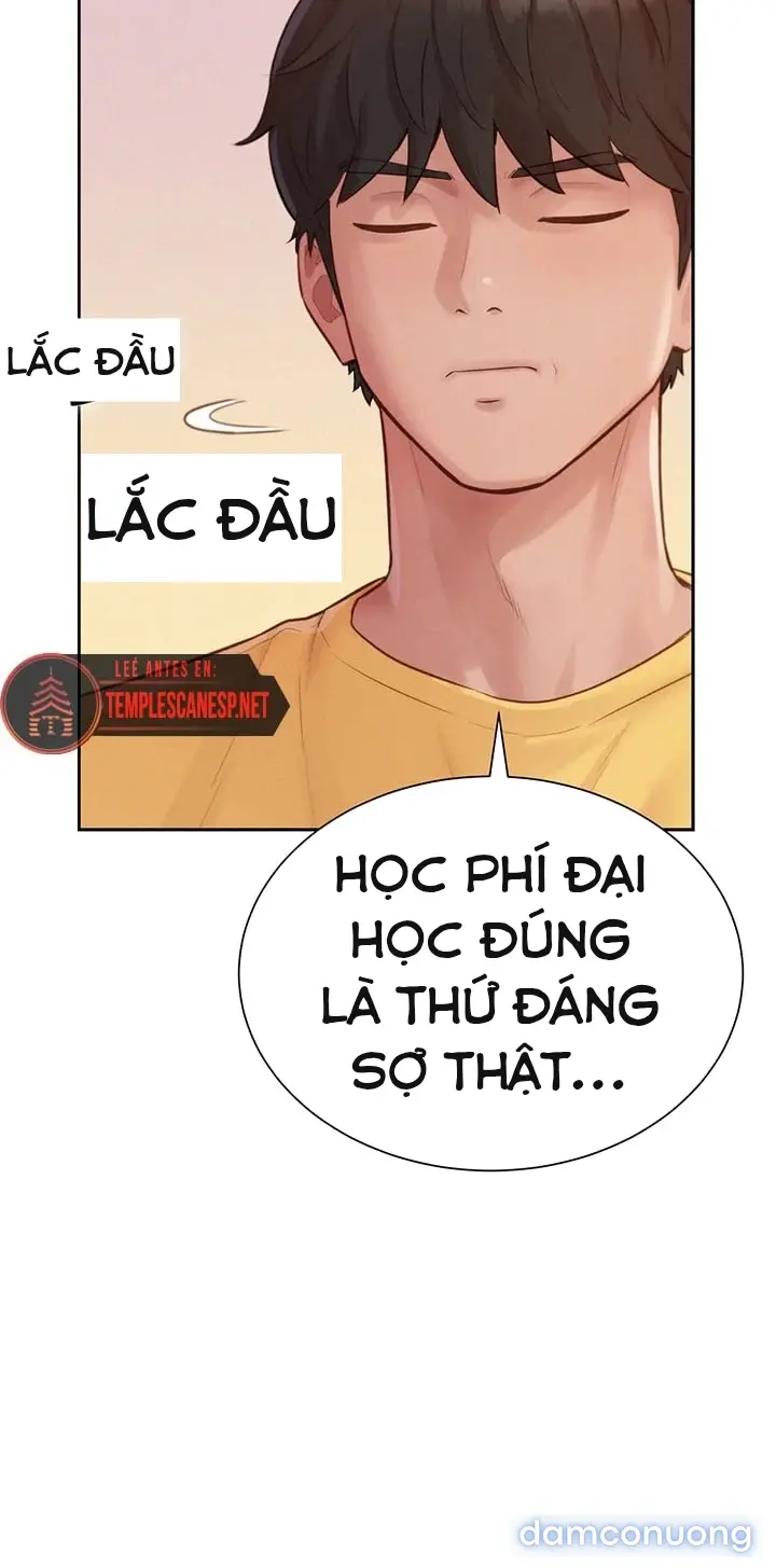 Harem tư bản 