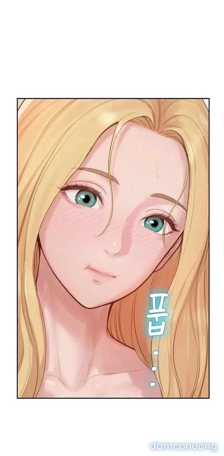Harem tư bản 