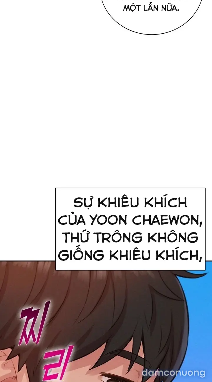Harem tư bản 