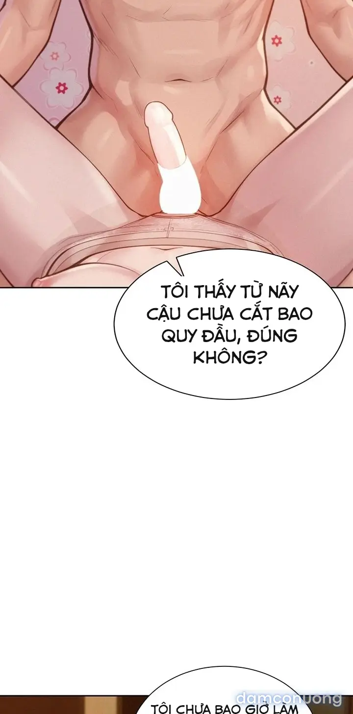 Harem tư bản 