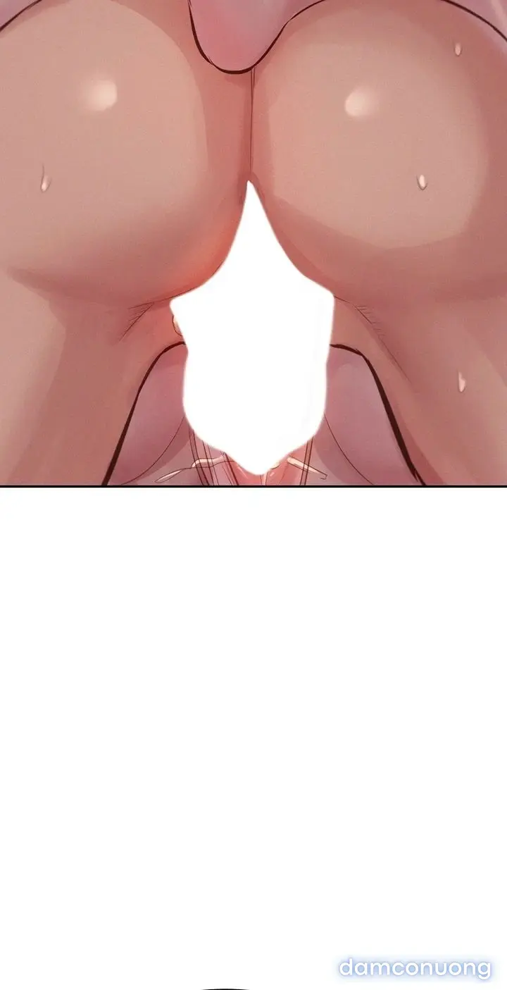 Harem tư bản 