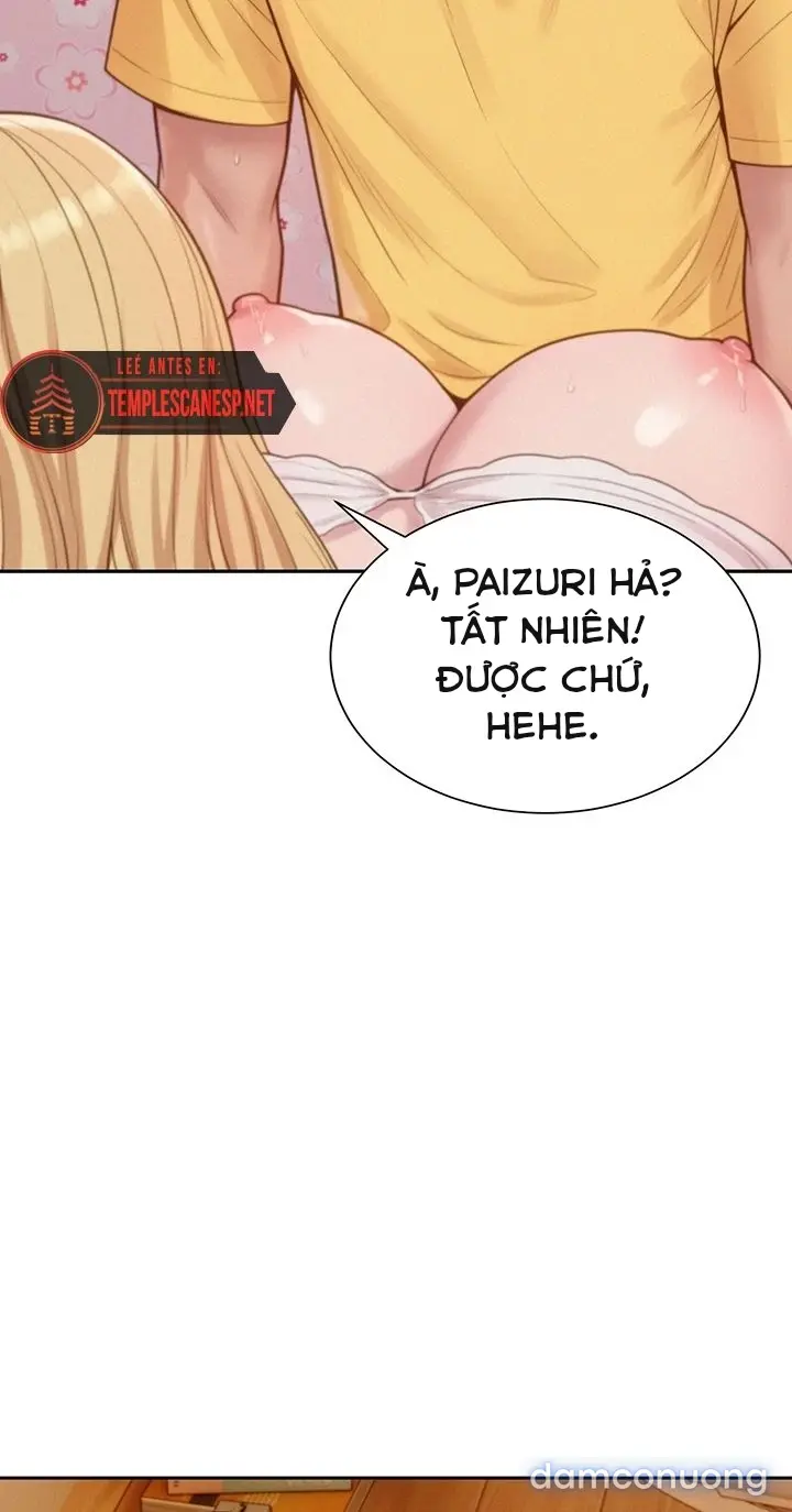 Harem tư bản 