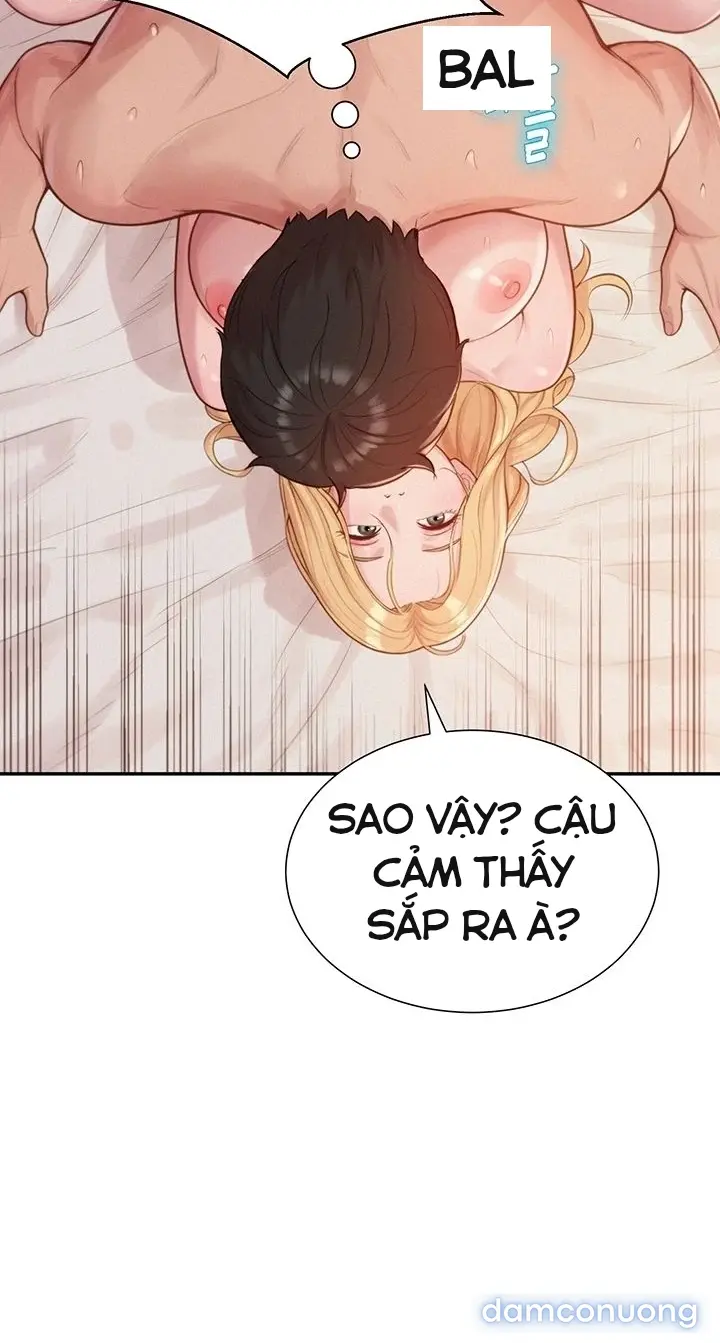 Harem tư bản 