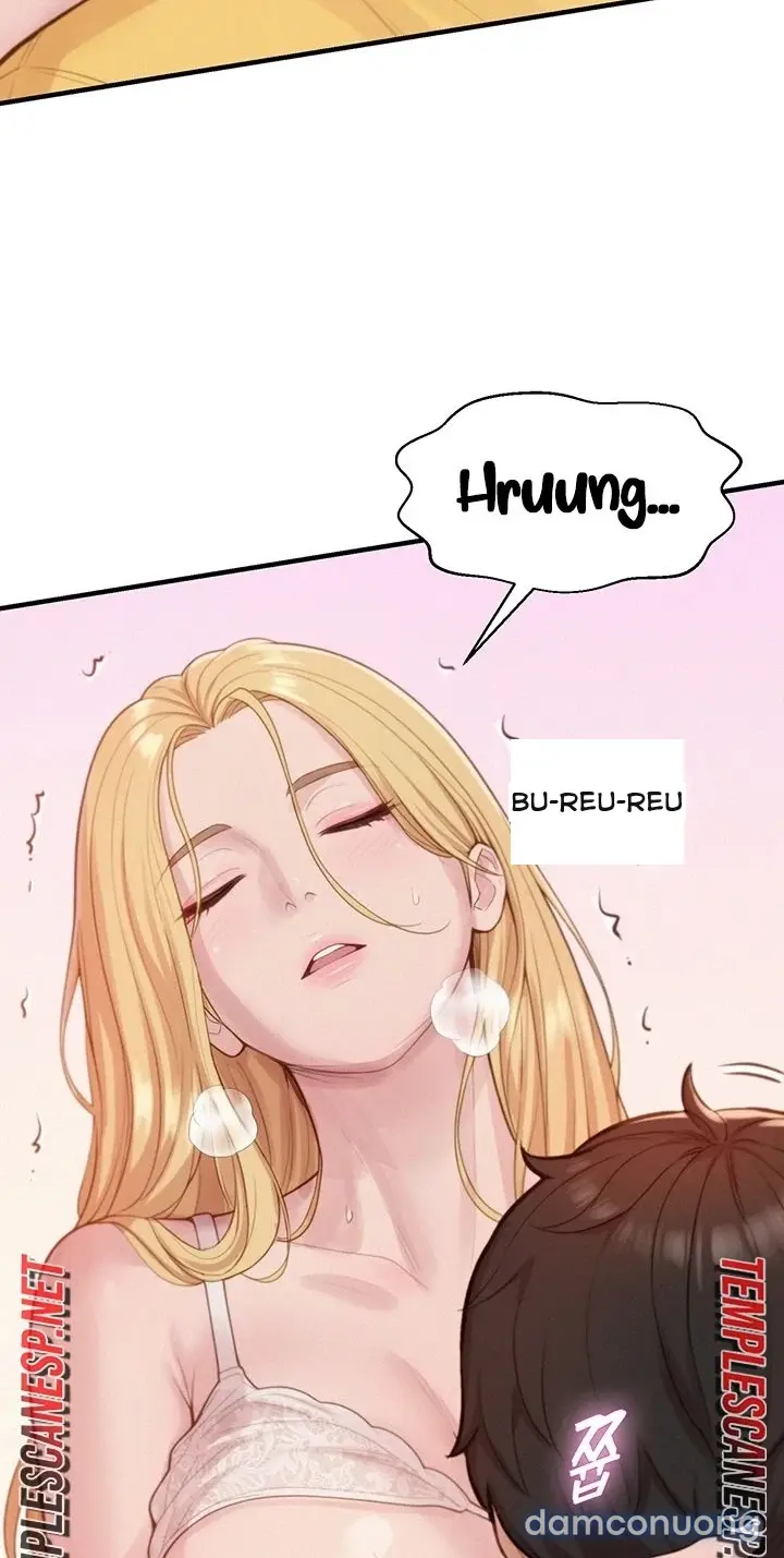 Harem tư bản 
