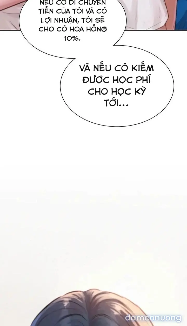Harem tư bản 