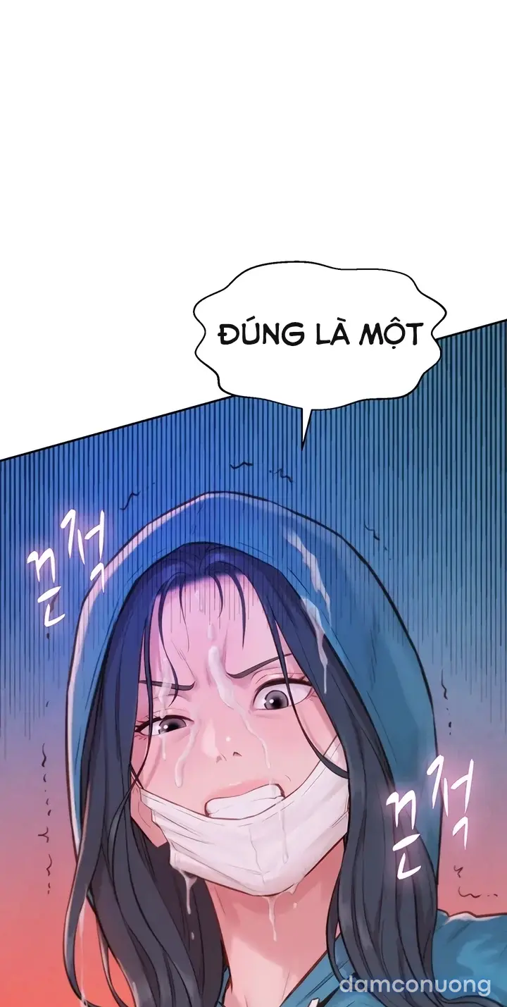 Harem tư bản 