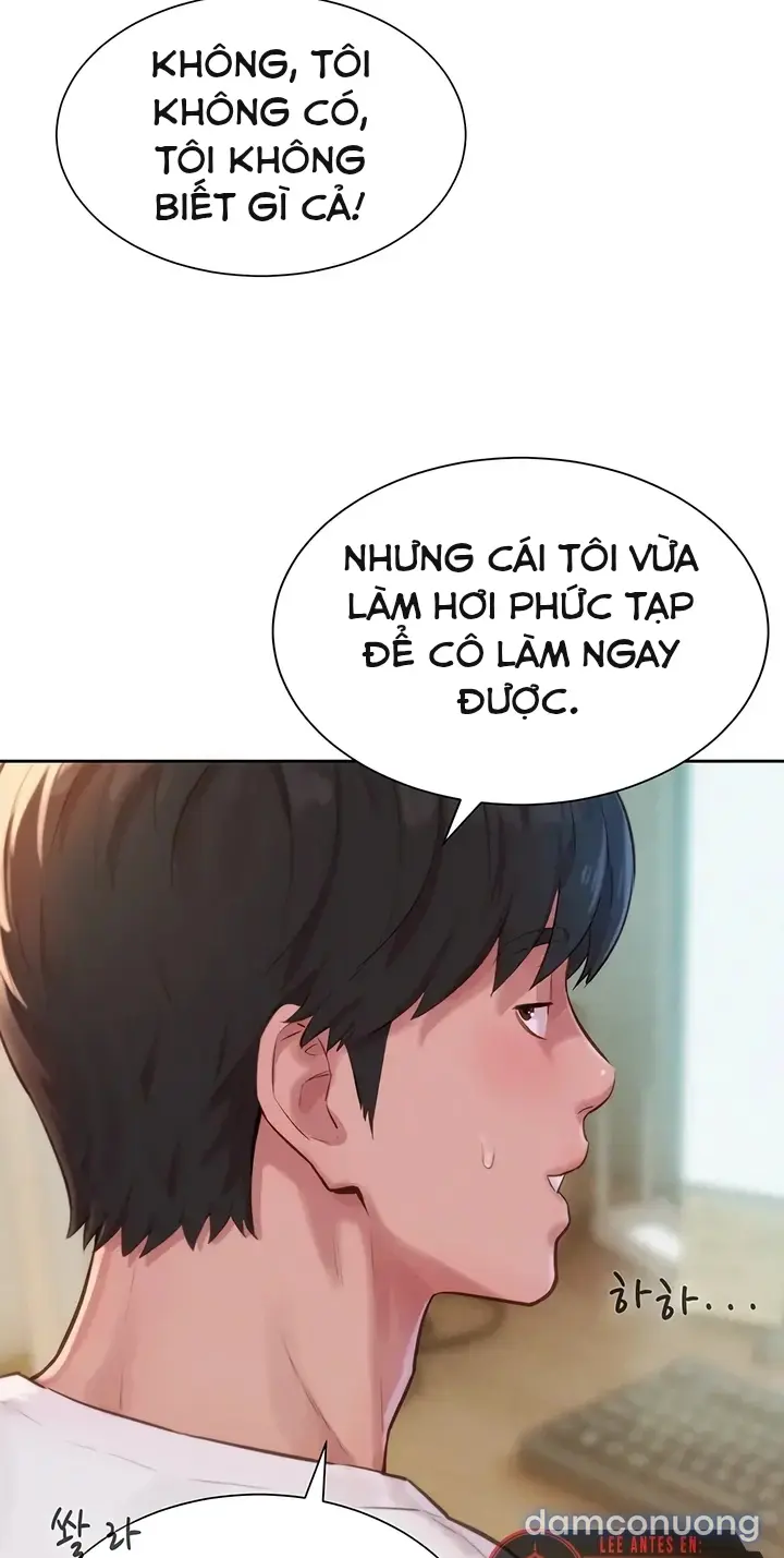 Harem tư bản 