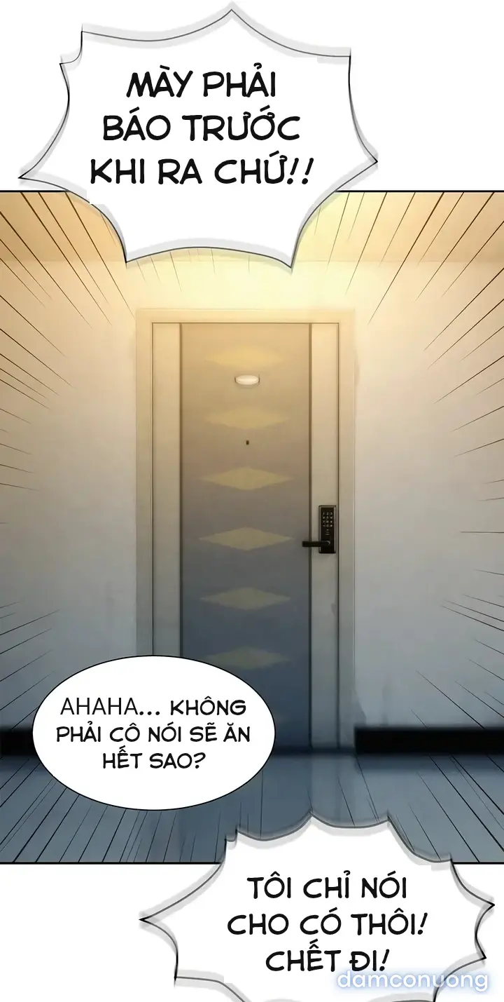 Harem tư bản 