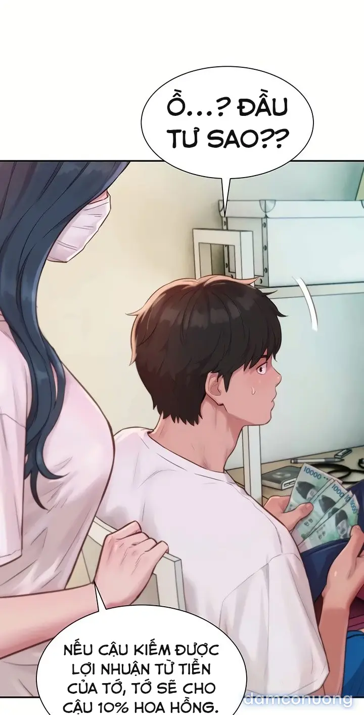 Harem tư bản 