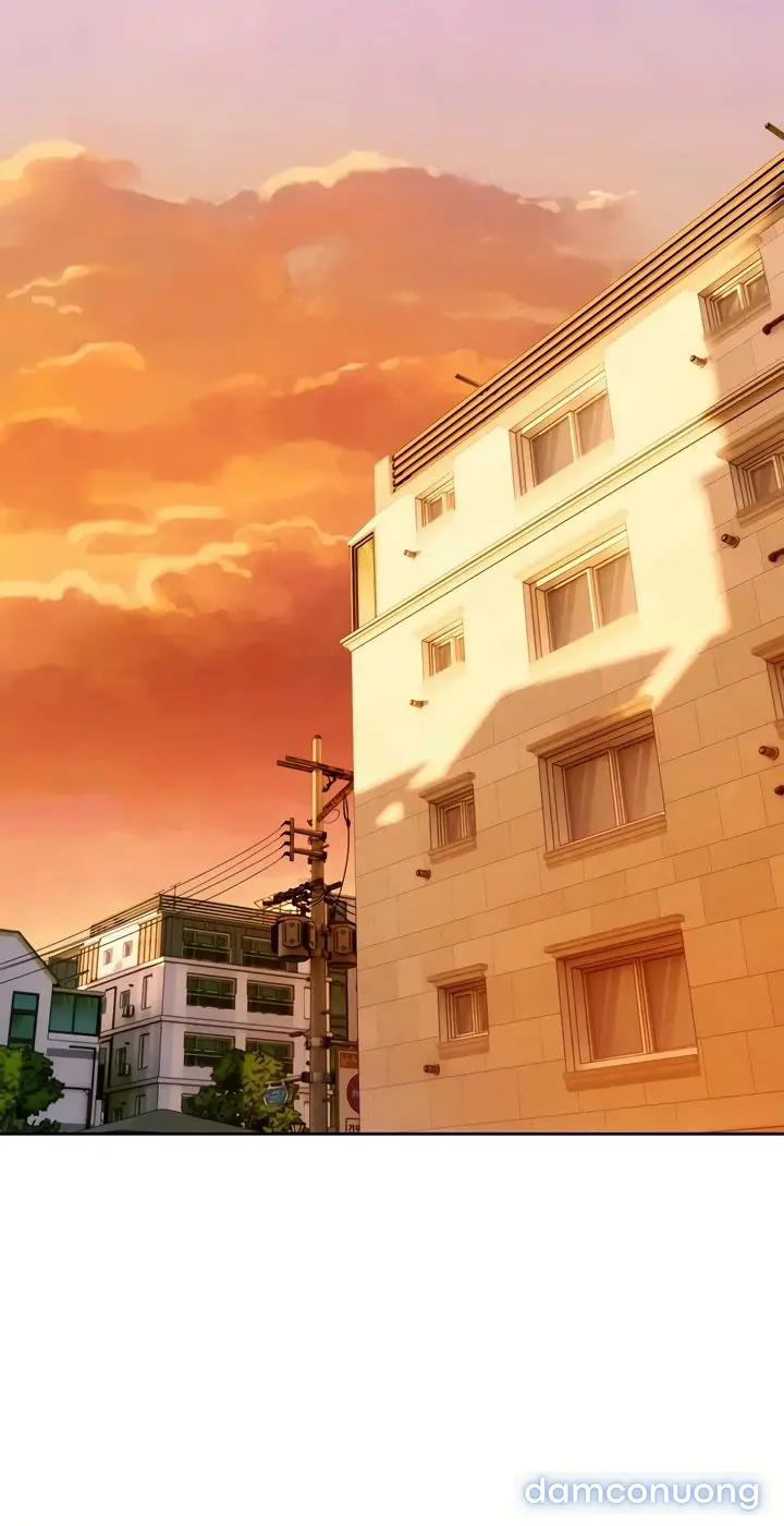 Harem tư bản 