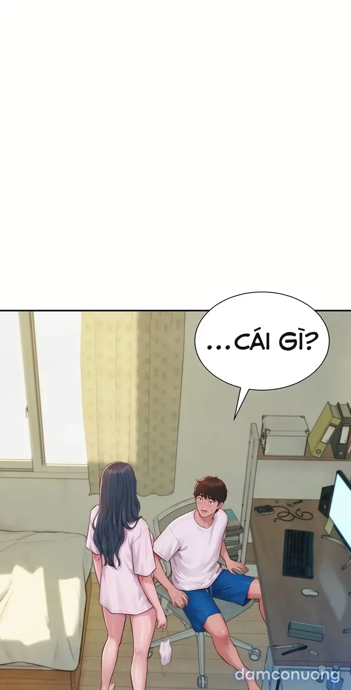 Harem tư bản 