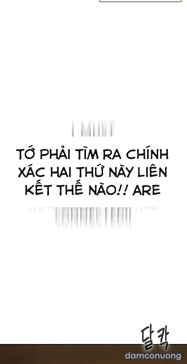 Harem tư bản 