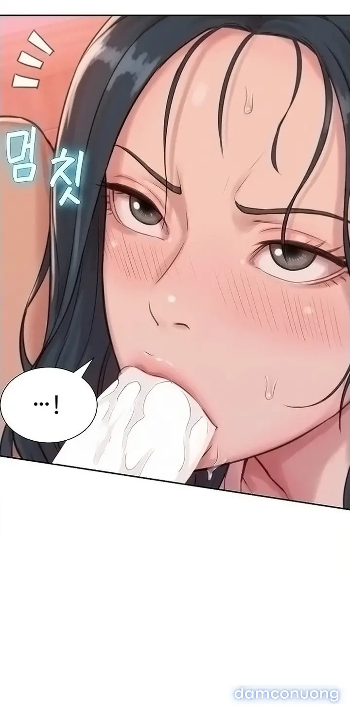 Harem tư bản 